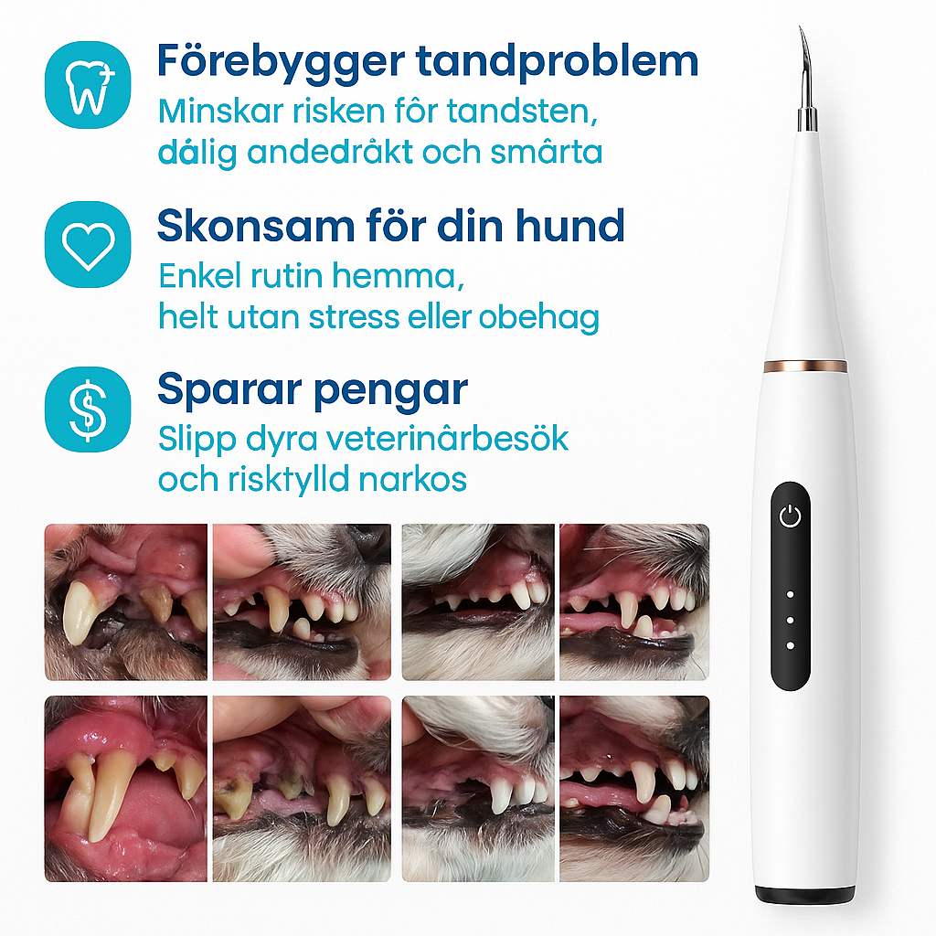 PawSmile - Slipp oro och dyra veterinärbesök